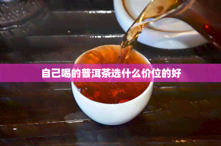 自己喝的普洱茶选什么价位的好