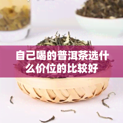 自己喝的普洱茶选什么价位的比较好