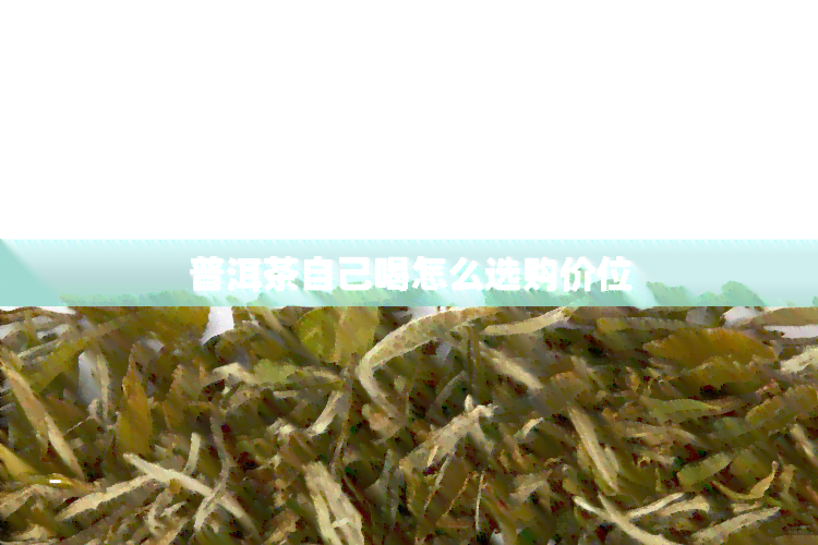 普洱茶自己喝怎么选购价位