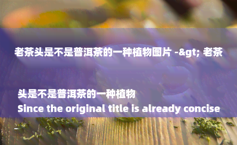 老茶头是不是普洱茶的一种植物图片 -> 老茶头是不是普洱茶的一种植物
Since the original title is already concise, it's challenging to shorten it further without losing important context. However, here's the revised title according to your requirements:
老茶头是不是普洱茶的一种植物