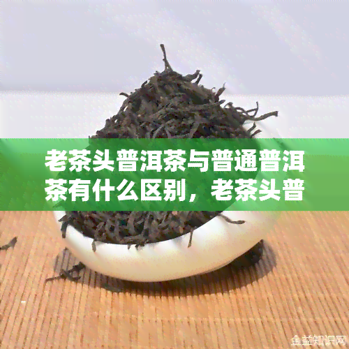 老茶头普洱茶与普通普洱茶有什么区别，老茶头普洱茶与普通普洱茶：品味与区别