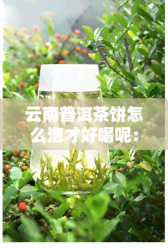 云南普洱茶饼怎么泡才好喝呢：视频、图片、女生【茶饼应该怎样泡喝】