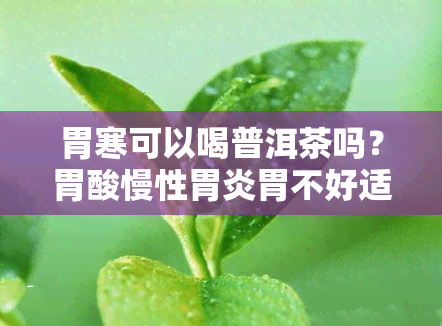 胃寒可以喝普洱茶吗？胃酸慢性胃炎胃不好适合什么茶？