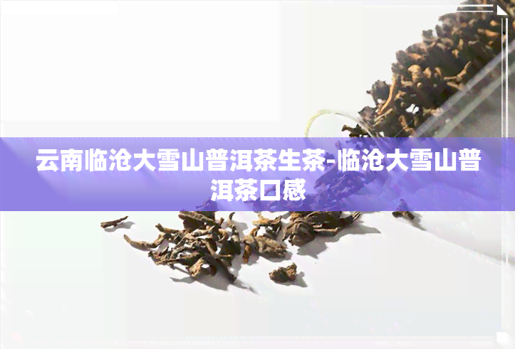 云南临沧大雪山普洱茶生茶-临沧大雪山普洱茶口感