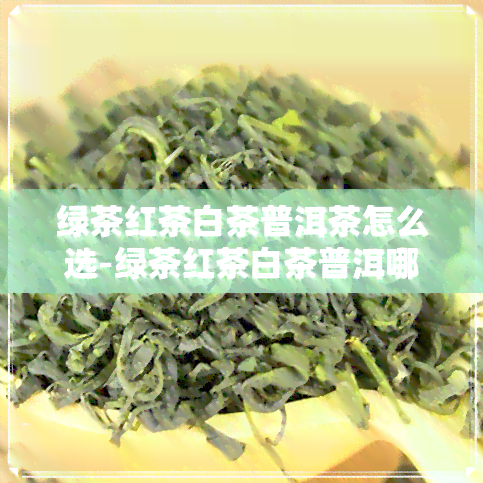 绿茶红茶白茶普洱茶怎么选-绿茶红茶白茶普洱哪个好