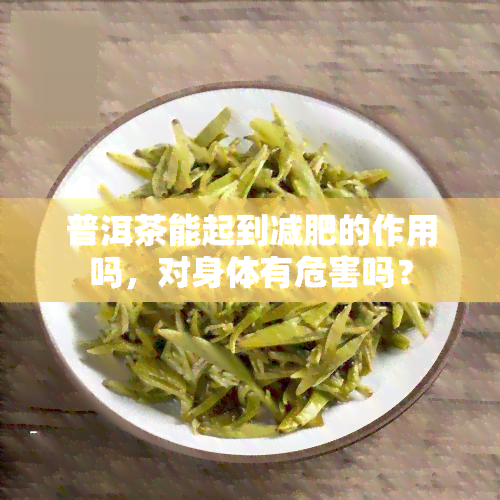 普洱茶能起到减肥的作用吗，对身体有危害吗？