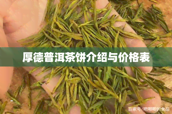 厚德普洱茶饼介绍与价格表