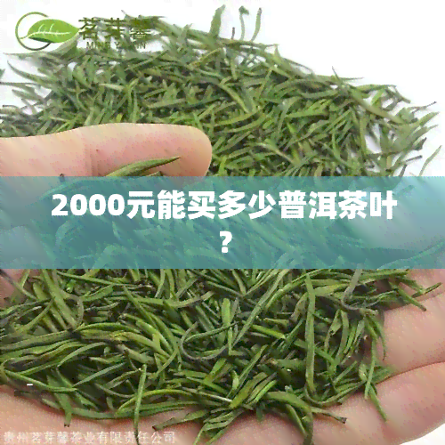 2000元能买多少普洱茶叶？