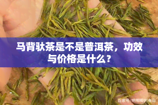 马背驮茶是不是普洱茶，功效与价格是什么？