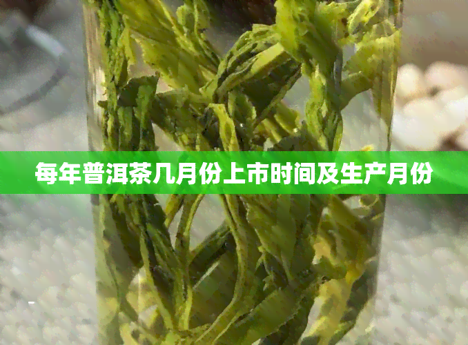 每年普洱茶几月份上市时间及生产月份