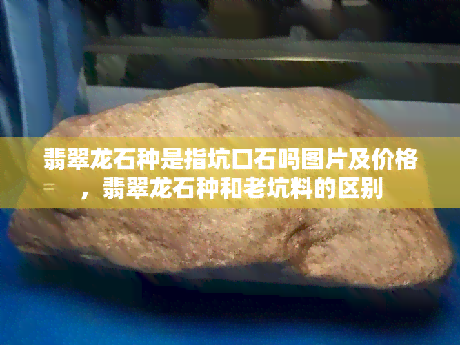 翡翠龙石种是指坑口石吗图片及价格，翡翠龙石种和老坑料的区别