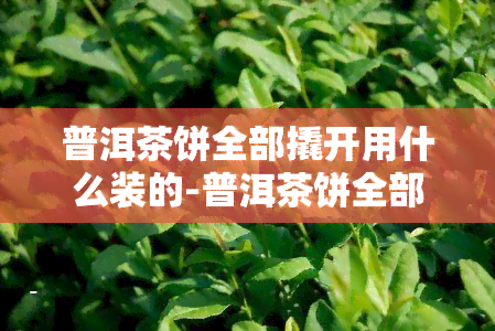 普洱茶饼全部撬开用什么装的-普洱茶饼全部撬开用什么装的好