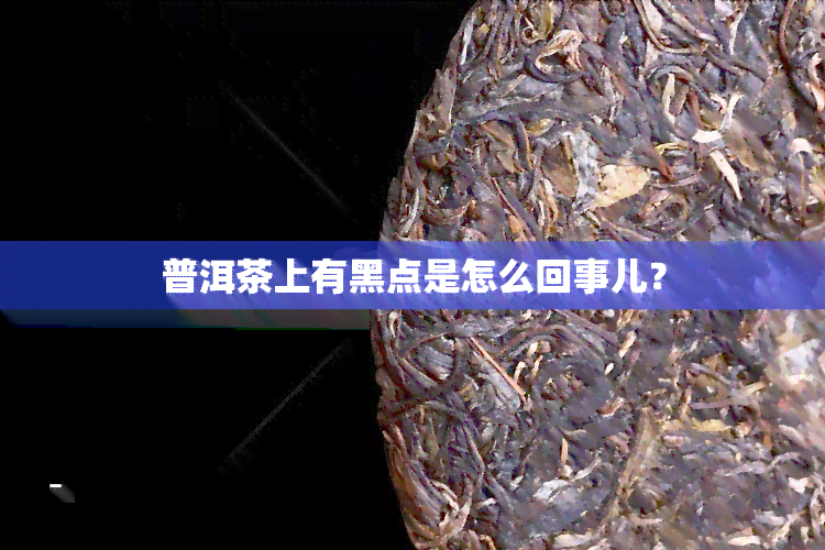 普洱茶上有黑点是怎么回事儿？