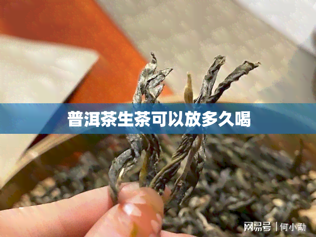 普洱茶生茶可以放多久喝