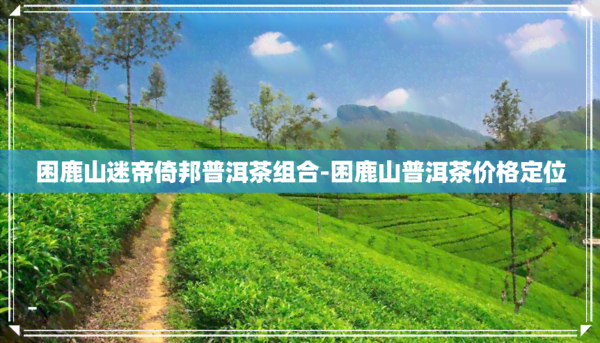 困鹿山迷帝倚邦普洱茶组合-困鹿山普洱茶价格定位