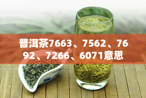 普洱茶7663、7562、7692、7266、6071意思