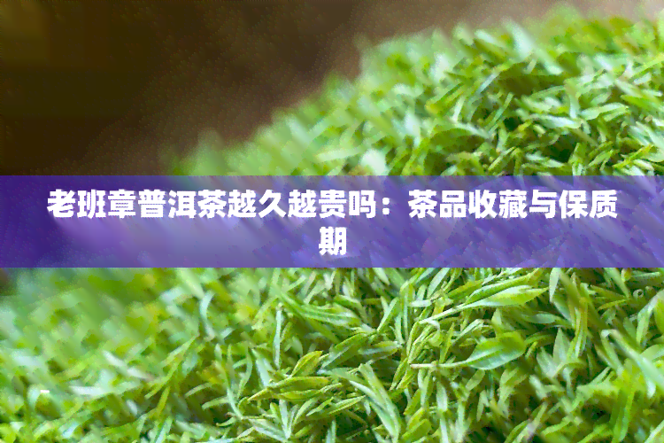 老班章普洱茶越久越贵吗：茶品收藏与保质期