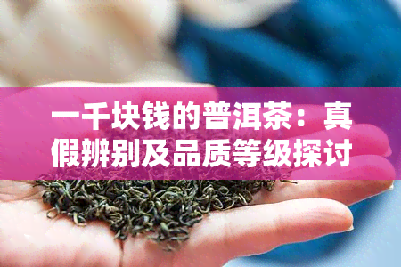 一千块钱的普洱茶：真假辨别及品质等级探讨