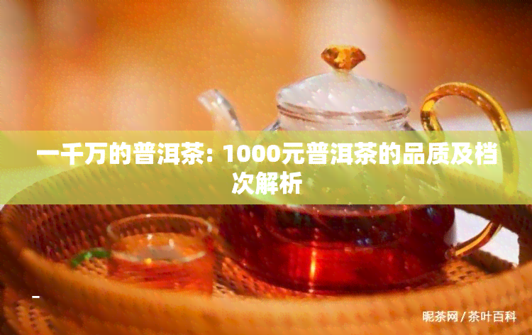 一千万的普洱茶: 1000元普洱茶的品质及档次解析