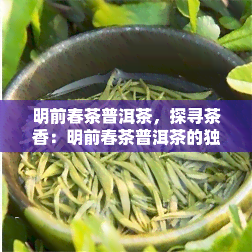 明前春茶普洱茶，探寻茶香：明前春茶普洱茶的独特魅力