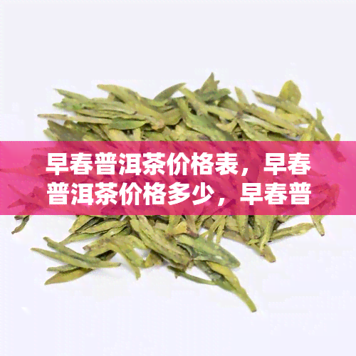 早春普洱茶价格表，早春普洱茶价格多少，早春普洱生茶价格