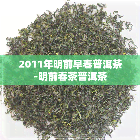 2011年明前早春普洱茶-明前春茶普洱茶