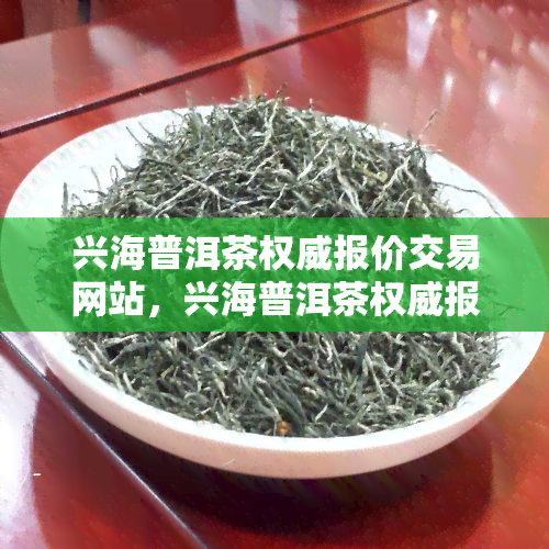 兴海普洱茶权威报价交易网站，兴海普洱茶权威报价交易网站：精准定价，畅享茶香交流！