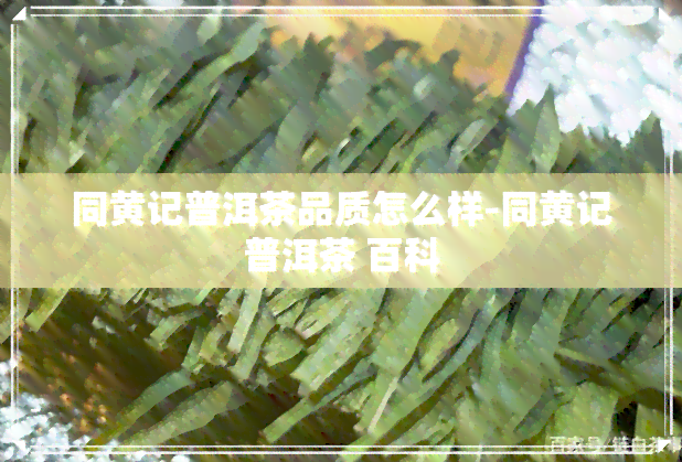 同黄记普洱茶品质怎么样-同黄记普洱茶 百科