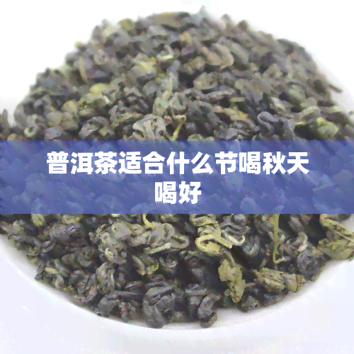 普洱茶适合什么节喝秋天喝好