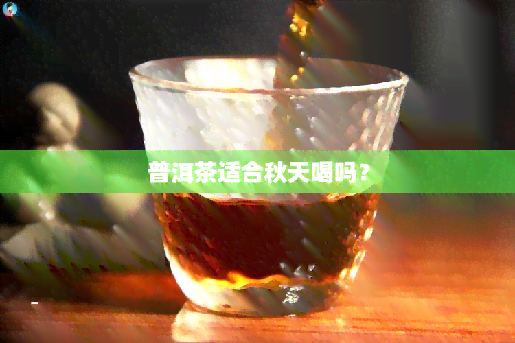 普洱茶适合秋天喝吗？