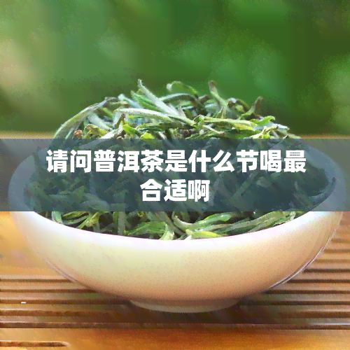 请问普洱茶是什么节喝最合适啊