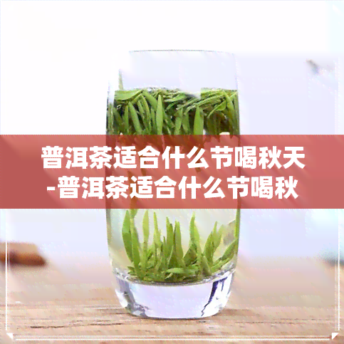 普洱茶适合什么节喝秋天-普洱茶适合什么节喝秋天的