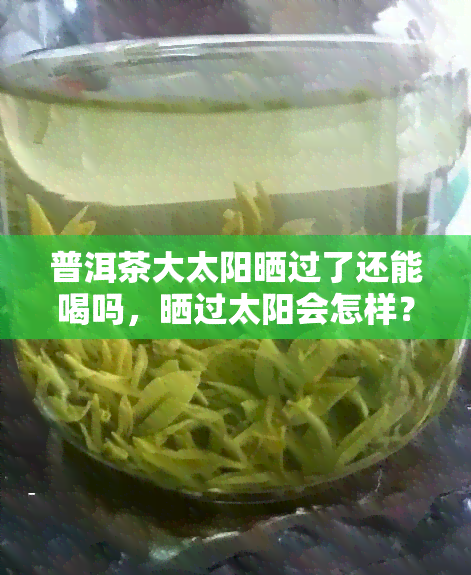 普洱茶大太阳晒过了还能喝吗，晒过太阳会怎样？