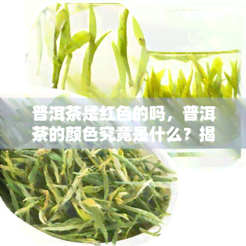 普洱茶是红色的吗，普洱茶的颜色究竟是什么？揭秘其真相！