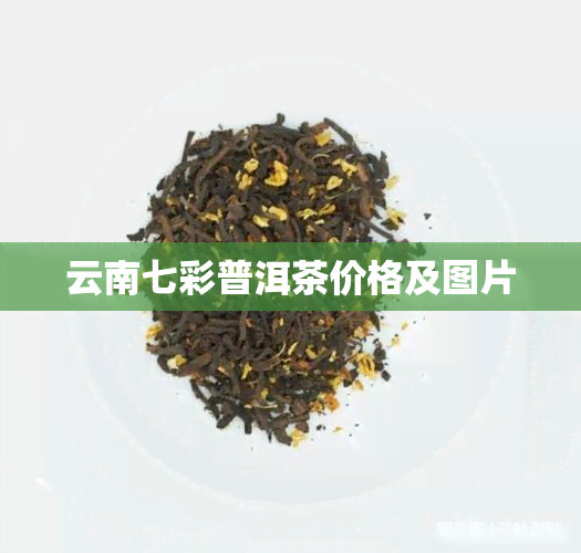 云南七彩普洱茶价格及图片