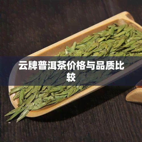 云牌普洱茶价格与品质比较