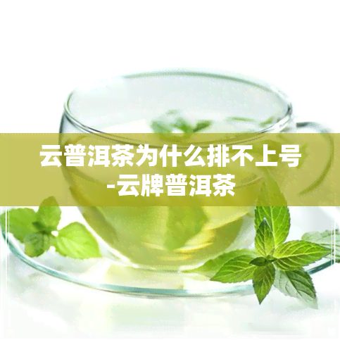 云普洱茶为什么排不上号-云牌普洱茶