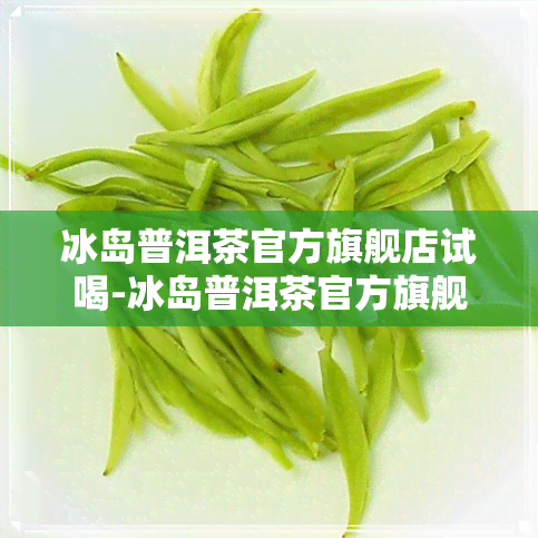 冰岛普洱茶官方旗舰店试喝-冰岛普洱茶官方旗舰店试喝怎么样