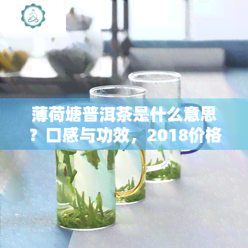 薄荷塘普洱茶是什么意思？口感与功效，2018价格特点。