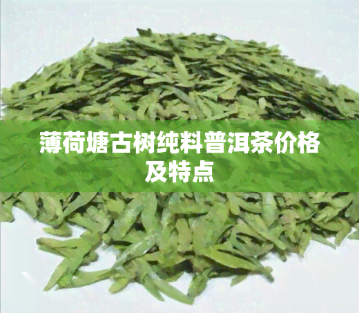 薄荷塘古树纯料普洱茶价格及特点