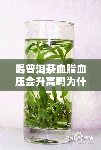 喝普洱茶血脂血压会升高吗为什么，普洱茶对血脂和血压的影响：为什么喝普洱茶会导致升高？