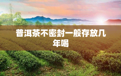 普洱茶不密封一般存放几年喝