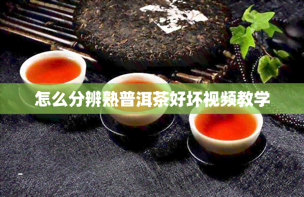 怎么分辨熟普洱茶好坏视频教学