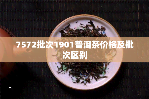 7572批次1901普洱茶价格及批次区别