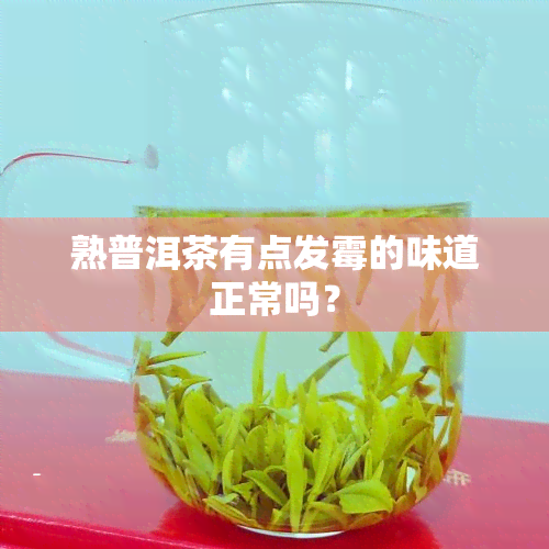 熟普洱茶有点发霉的味道正常吗？