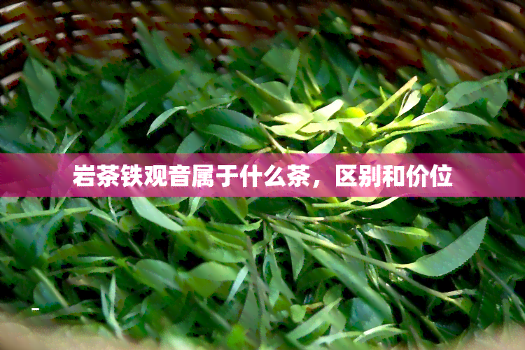 岩茶铁观音属于什么茶，区别和价位