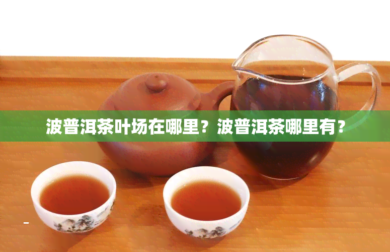 波普洱茶叶场在哪里？波普洱茶哪里有？