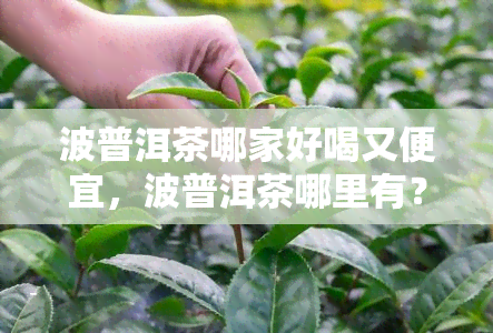 波普洱茶哪家好喝又便宜，波普洱茶哪里有？