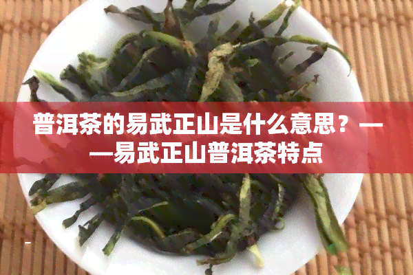 普洱茶的易武正山是什么意思？——易武正山普洱茶特点