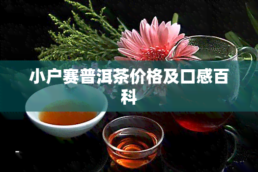 小户赛普洱茶价格及口感百科